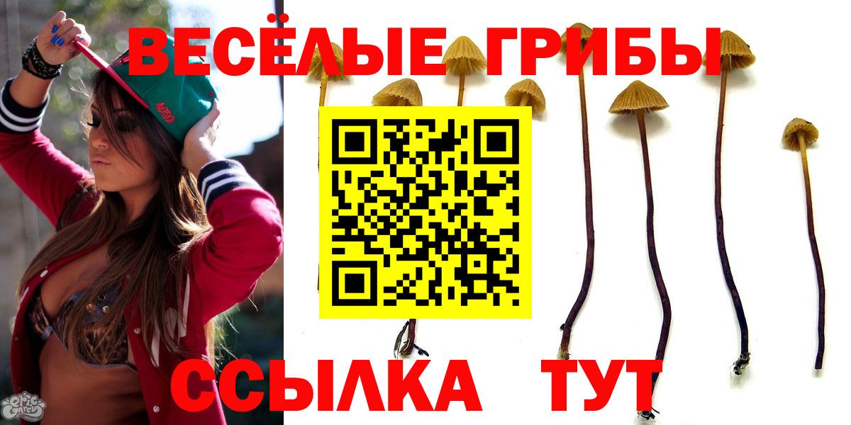 Учалы  Галлюциногенные грибы Cubensis  Вход с VPN  купить наркоту  Галлюциногенные грибы MAGIC MUSHROOMS 